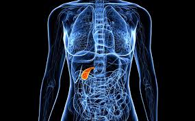 Gall Bladder Cancer